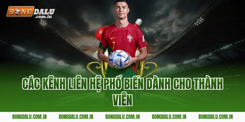 Các kênh liên hệ phổ biến dành cho thành viên