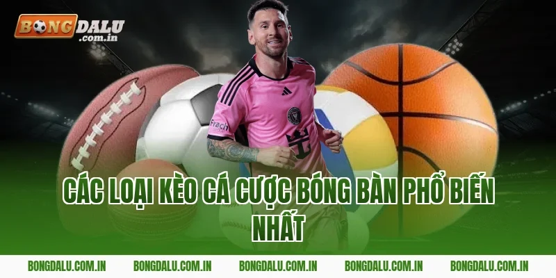 Các Loại Kèo Cá Cược Bóng Bàn Phổ Biến Nhất
