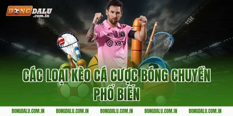 Các Loại Kèo Cá Cược Bóng Chuyền Phổ Biến