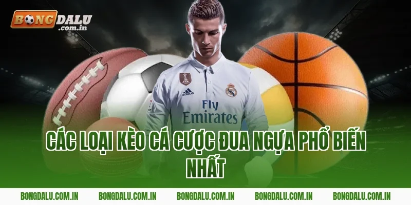 Các Loại Kèo Cá Cược Đua Ngựa Phổ Biến Nhất