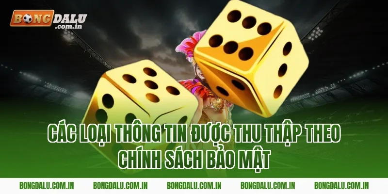Các Loại Thông Tin Được Thu Thập Theo Chính Sách Bảo Mật
