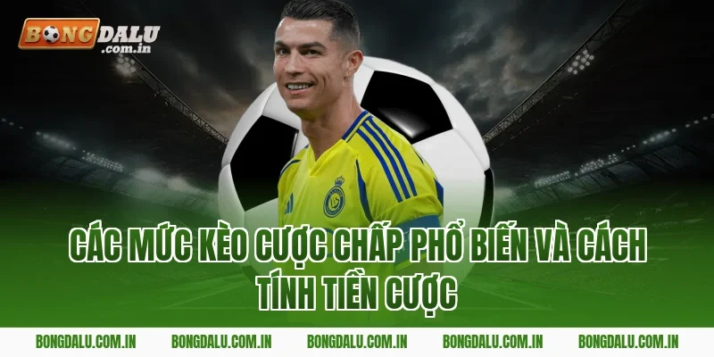 Các Mức Kèo Cược Chấp Phổ Biến Và Cách Tính Tiền Cược