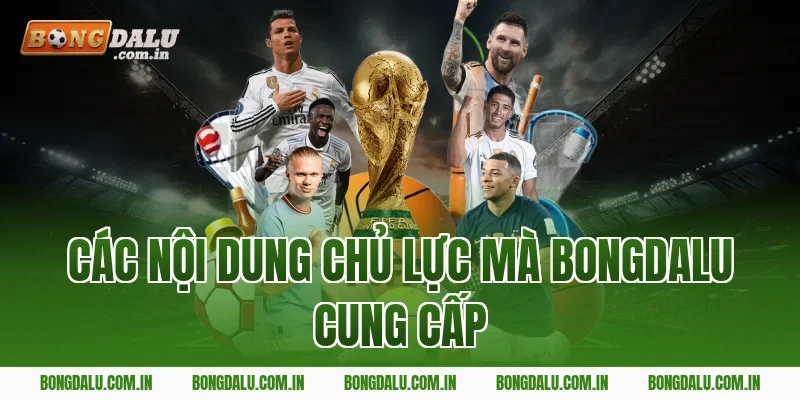 Các Nội Dung Chủ Lực Mà Bongdalu Cung Cấp