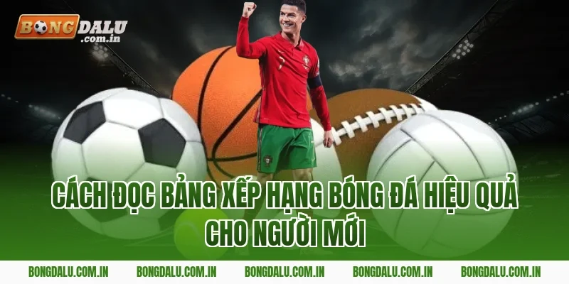 Cách đọc bảng xếp hạng bóng đá hiệu quả cho người mới