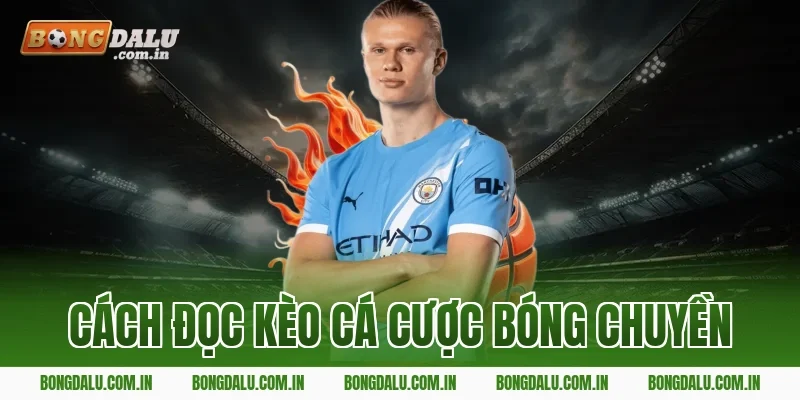 Cách Đọc Kèo Cá Cược Bóng Chuyền