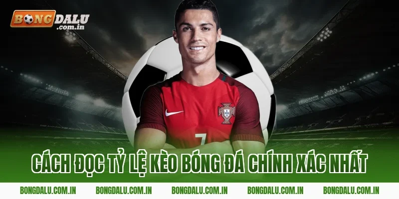 Cách Đọc Tỷ Lệ Kèo Bóng Đá Chính Xác Nhất