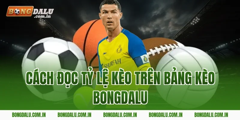 Cách đọc tỷ lệ kèo trên bảng kèo Bongdalu