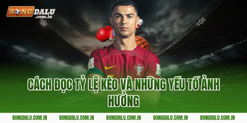Cách Đọc Tỷ Lệ Kèo Và Những Yếu Tố Ảnh Hưởng