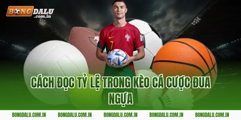 Cách Đọc Tỷ Lệ Trong Kèo Cá Cược Đua Ngựa