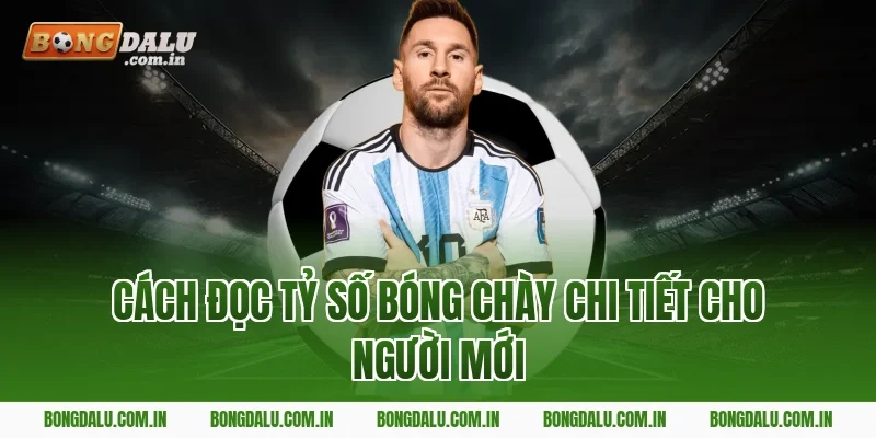 Cách đọc tỷ số bóng chày chi tiết cho người mới