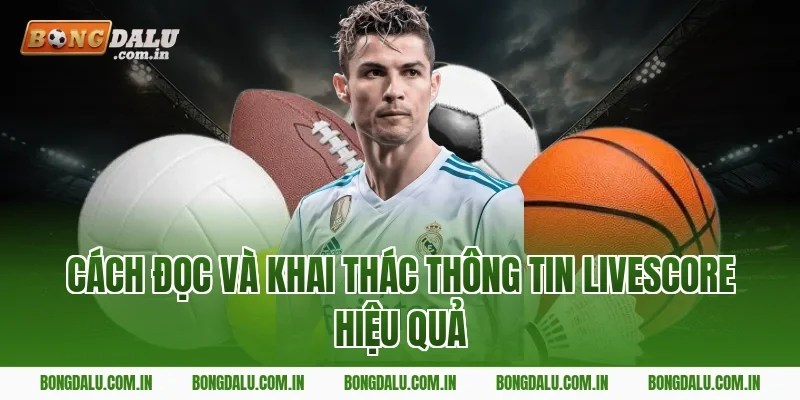 Cách Đọc Và Khai Thác Thông Tin Livescore Hiệu Quả