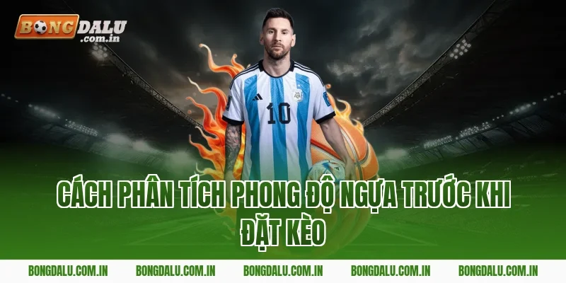 Cách Phân Tích Phong Độ Ngựa Trước Khi Đặt Kèo