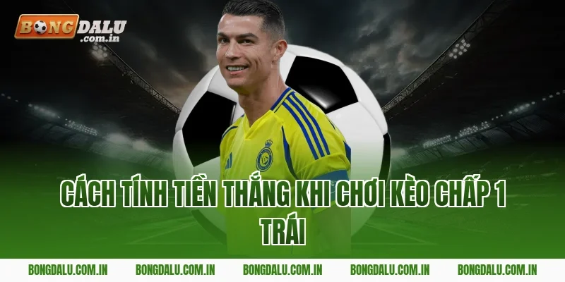 Cách Tính Tiền Thắng Khi Chơi Kèo Chấp 1 Trái