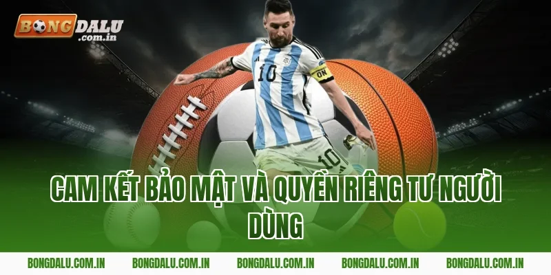 Cam Kết Bảo Mật Và Quyền Riêng Tư Người Dùng