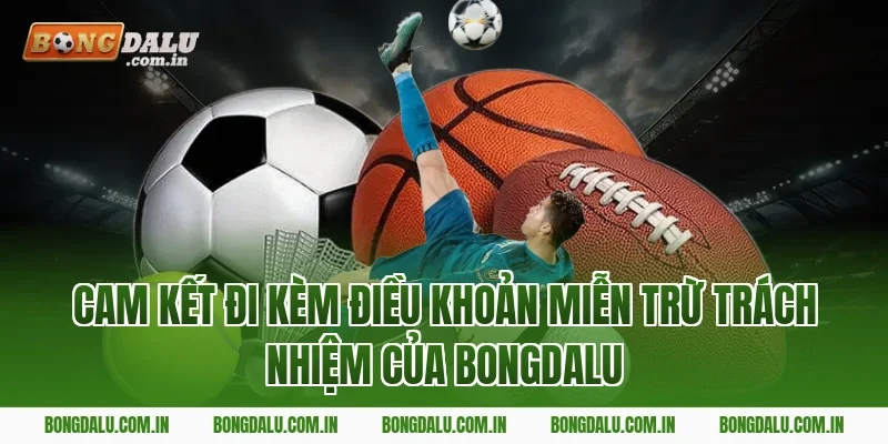Cam kết đi kèm điều khoản miễn trừ trách nhiệm của Bongdalu