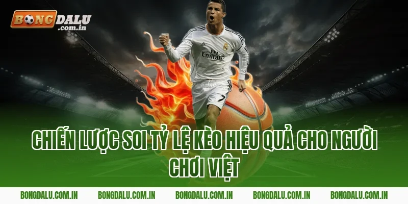 Chiến lược soi tỷ lệ kèo hiệu quả cho người chơi Việt