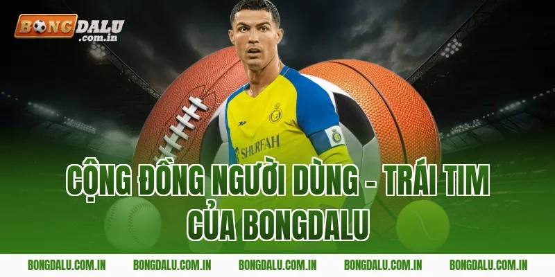 Cộng Đồng Người Dùng – Trái Tim Của Bongdalu