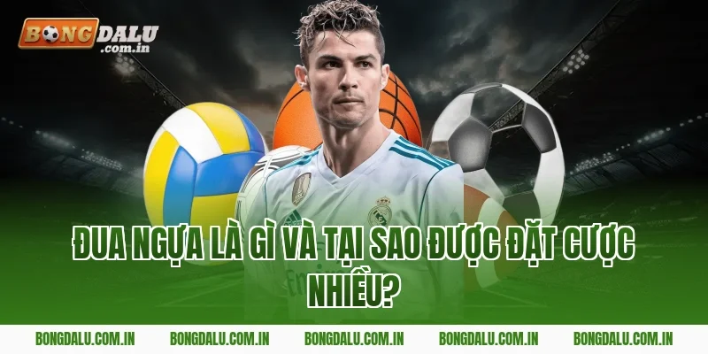 Đua Ngựa Là Gì Và Tại Sao Được Đặt Cược Nhiều?