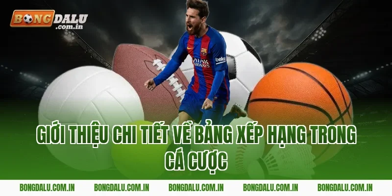 Giới thiệu chi tiết về bảng xếp hạng trong cá cược