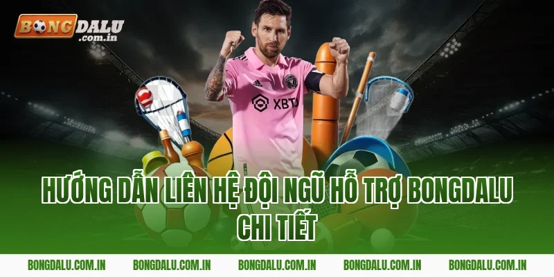 Hướng dẫn liên hệ đội ngũ hỗ trợ Bongdalu chi tiết
