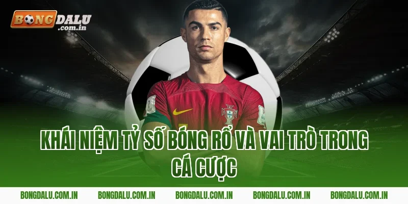 Khái niệm tỷ số bóng rổ và vai trò trong cá cược