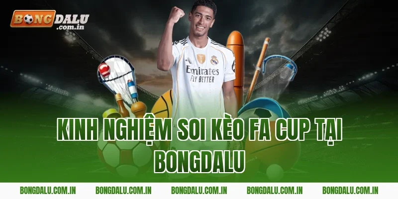 Kinh nghiệm soi kèo FA Cup tại Bongdalu