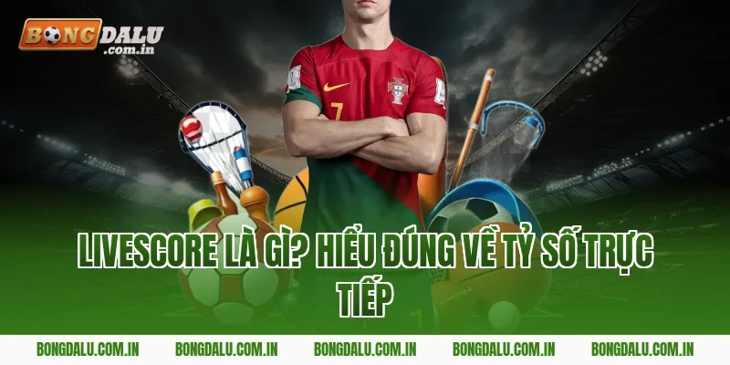 Livescore Là Gì? Hiểu Đúng Về Tỷ Số Trực Tiếp