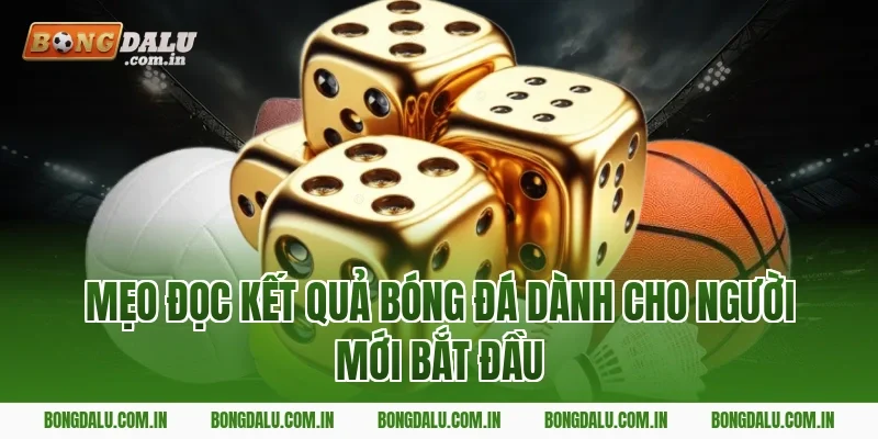 Mẹo đọc kết quả bóng đá dành cho người mới bắt đầu