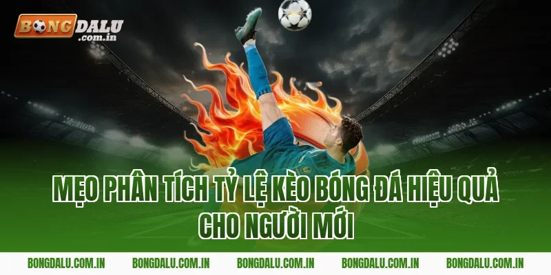 Mẹo Phân Tích Tỷ Lệ Kèo Bóng Đá Hiệu Quả Cho Người Mới