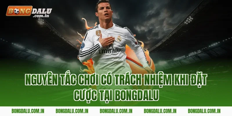 Nguyên tắc chơi có trách nhiệm khi đặt cược tại Bongdalu