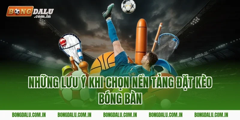 Những Lưu Ý Khi Chọn Nền Tảng Đặt Kèo Bóng Bàn
