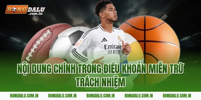 Nội dung chính trong điều khoản miễn trừ trách nhiệm