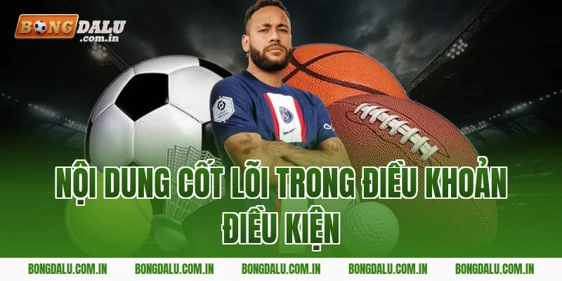 Nội dung cốt lõi trong điều khoản điều kiện