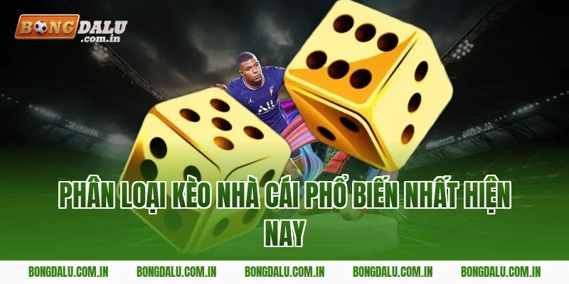 Phân Loại Kèo Nhà Cái Phổ Biến Nhất Hiện Nay