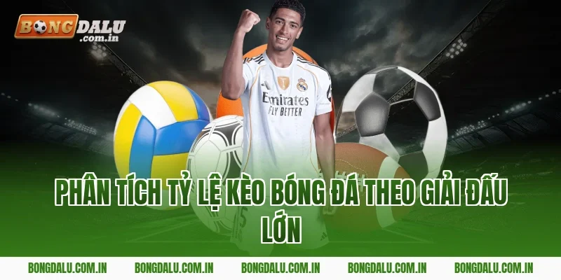 Phân Tích Tỷ Lệ Kèo Bóng Đá Theo Giải Đấu Lớn