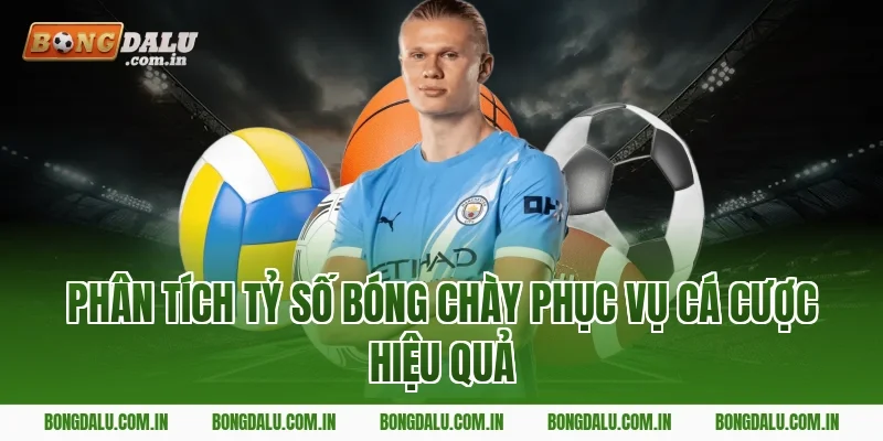 Phân tích tỷ số bóng chày phục vụ cá cược hiệu quả