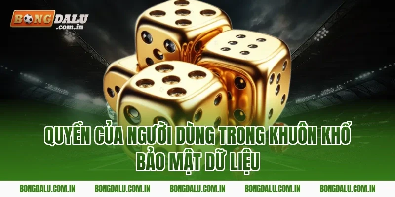 Quyền Của Người Dùng Trong Khuôn Khổ Bảo Mật Dữ Liệu