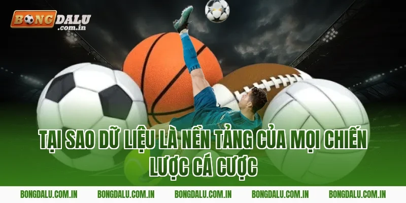Tại Sao Dữ Liệu Là Nền Tảng Của Mọi Chiến Lược Cá Cược