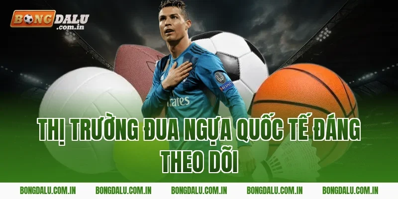 Thị Trường Đua Ngựa Quốc Tế Đáng Theo Dõi