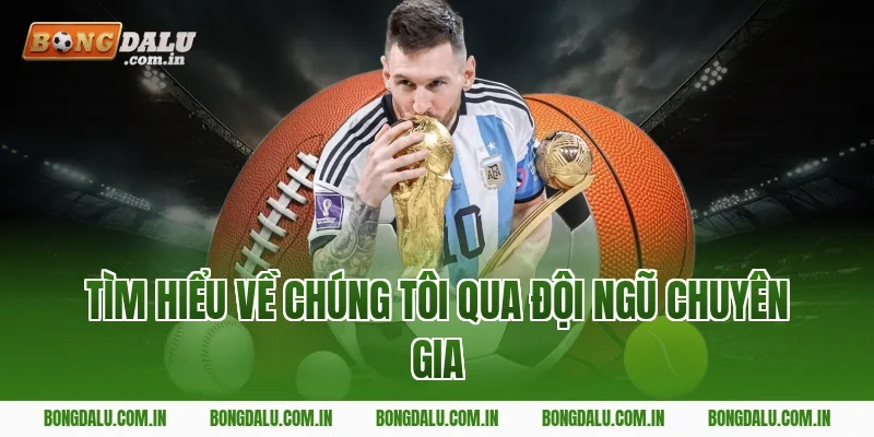 Tìm Hiểu Về Chúng Tôi Qua Đội Ngũ Chuyên Gia