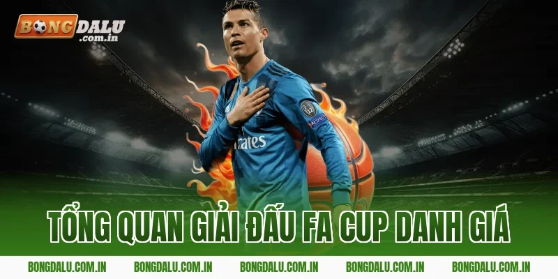 Tổng quan giải đấu FA Cup danh giá