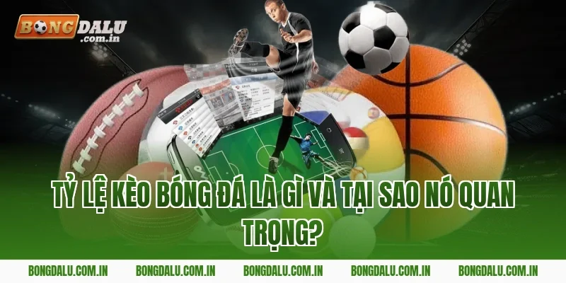 Tỷ Lệ Kèo Bóng Đá Là Gì Và Tại Sao Nó Quan Trọng?