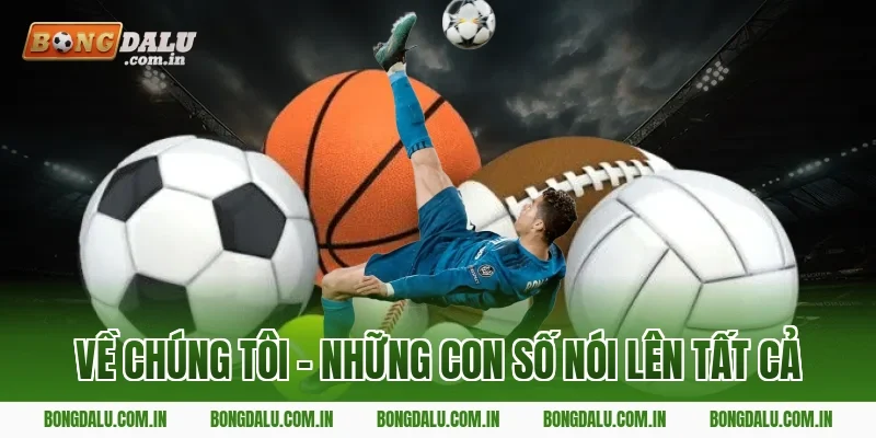 Về Chúng Tôi – Những Con Số Nói Lên Tất Cả