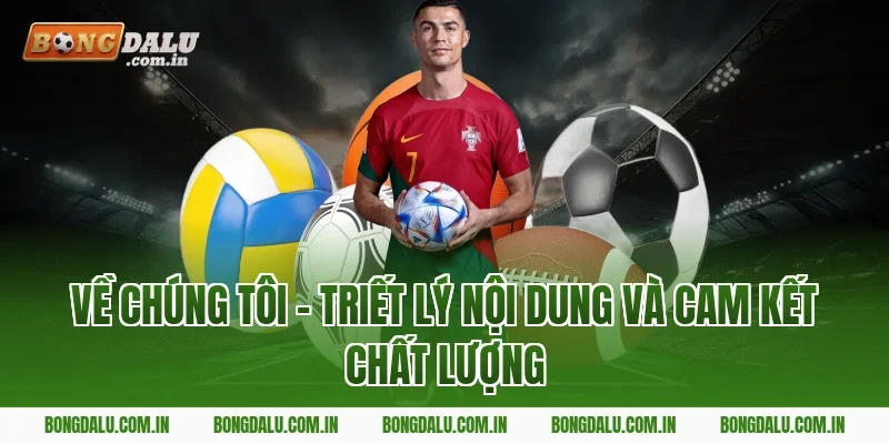 Về Chúng Tôi – Triết Lý Nội Dung Và Cam Kết Chất Lượng