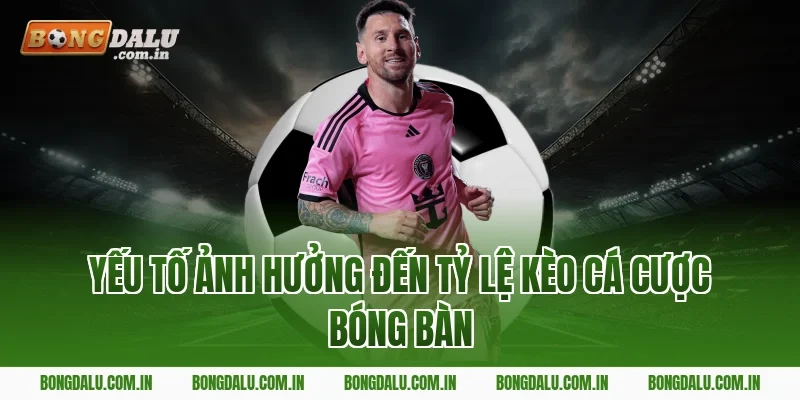 Yếu Tố Ảnh Hưởng Đến Tỷ Lệ Kèo Cá Cược Bóng Bàn