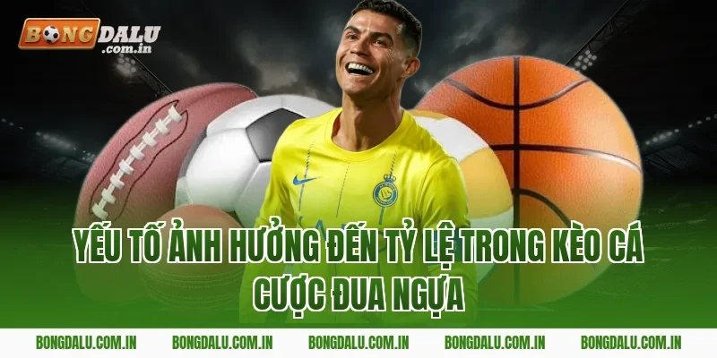 Yếu Tố Ảnh Hưởng Đến Tỷ Lệ Trong Kèo Cá Cược Đua Ngựa